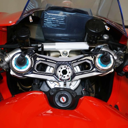 Plaque de fourche 3D adhésive compatible avec Ducati Panigale V4 2018-2024