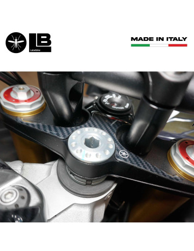 Adhesive 3D Motorcycle Fork Plate Protection compatible with Aprilia Tuono V4