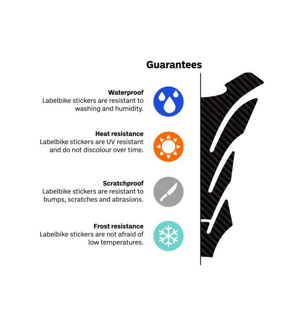 Adesivi 3D protezioni maniglie KIT PASSEGGERO moto compatibili con BMW R1300GS