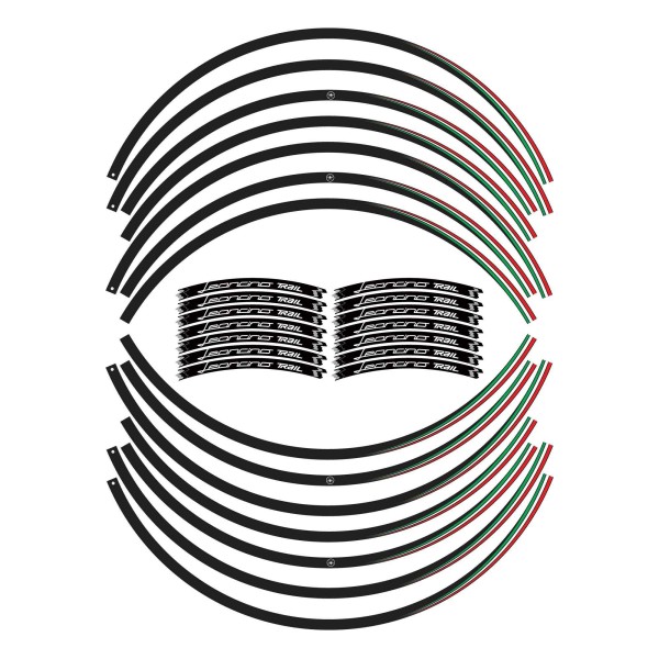 Kit strisce adesive cerchi ruote moto compatibili con Benelli Leoncino 500 trail