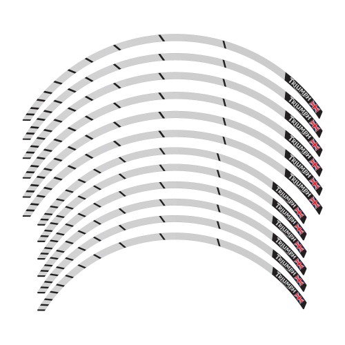 Kit strisce adesive per cerchi ruote 19-17 compatibili con Triumph Tiger 900 850 2