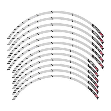 Adhesive strip kit for wheel rims 19-17 compatible with Triumph Tiger 900 850