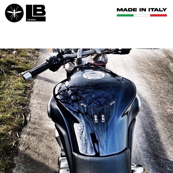 3D RESINA ADHESIVO TANQUE PARASTER compatible MOTO YAMAHA MT-01 kodo