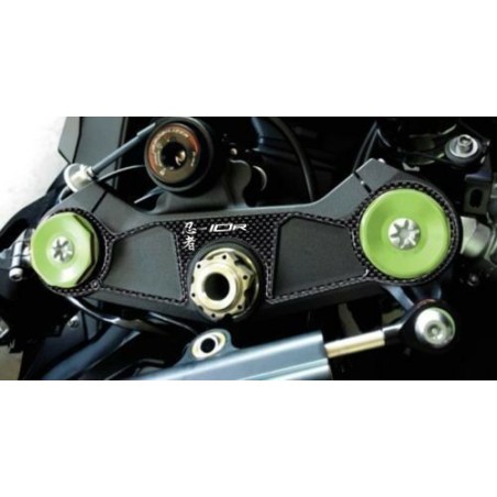 3D gel protection fork plate compatible for motorbikes KAWASAKI ZX-10R from 2016