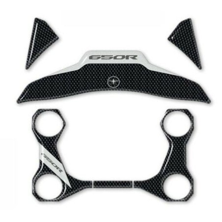 FORK PLATE PROTECTION + KEY CB 650 R compatible for HONDA CB650R