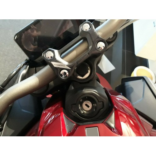 FORK PLATE PROTECTION + KEY CB 650 R kompatibel für HONDA CB650R 2
