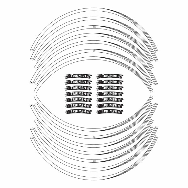 Strisce adesive compatibili per moto Triumph adesivi cerchi 17 stickers tuning