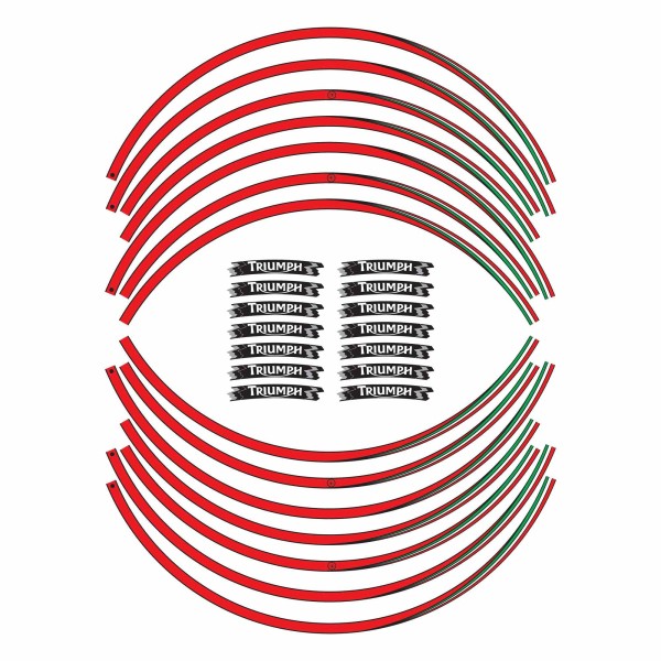 Strisce adesive compatibili per moto Triumph adesivi cerchi 17 stickers tuning