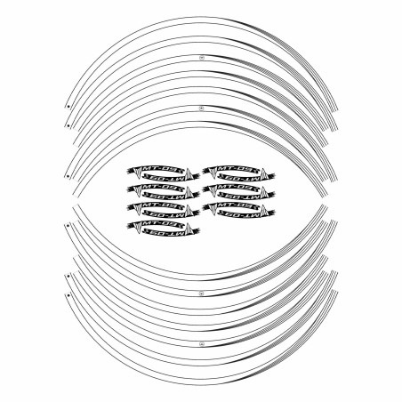 ADHESIVE ADHESIVE STRIPES compatible for YAMAHA MT-09 MOTORBIKE 17' WHITE RIMS stickers