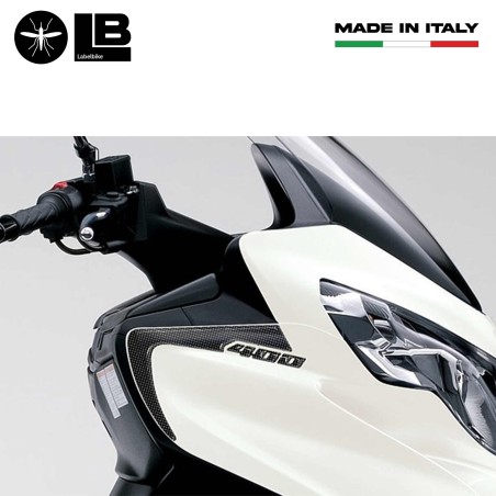 2 ADHESIVOS DE PROTECCIÓN 3D GEL compatibles para SUZUKI BURGMAN 400 DE 2006-2016