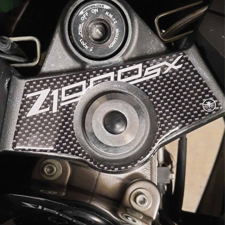PROTECTION DE PLAQUE DE FOURCHE 3D compatible avec la MOTOCYCLE KAWASAKI Z 1000SX Z1000 SX