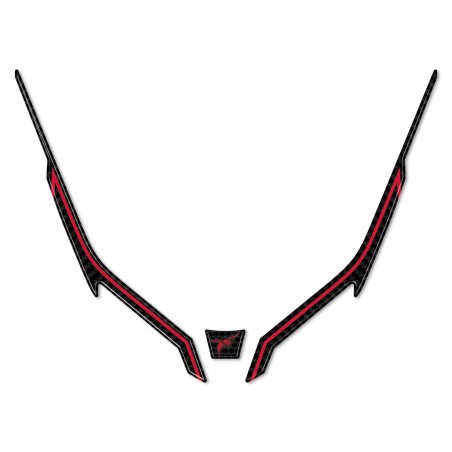 Adesivo 3D Protezione Muso Frontale moto compatibile con Honda Hornet 2023-2024