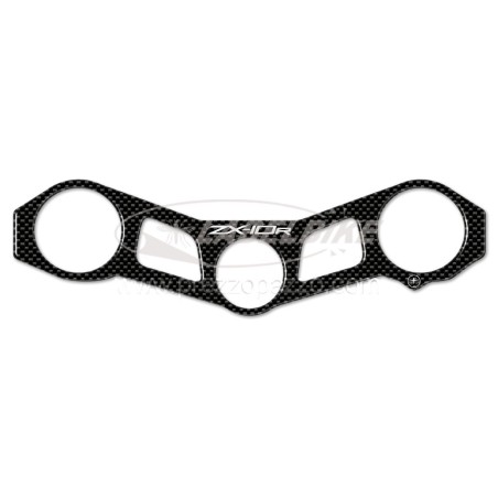 Plaque de protection de fourche en gel 3D compatible MOTORBIKE KAWASAKI ZX-10R 2011-2015