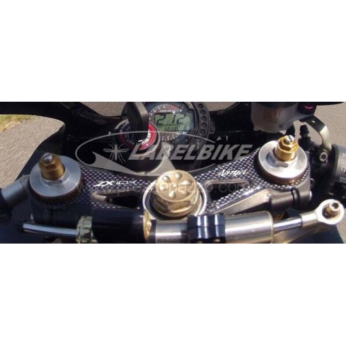 Placa de horquilla con protección de gel 3D compatible MOTO KAWASAKI ZX-10R 2004-2005