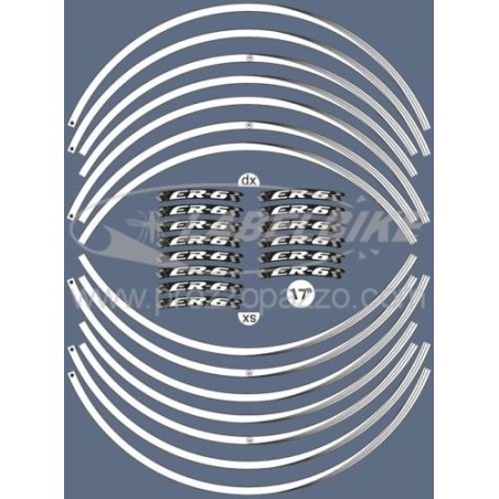 ADHESIVE STRIPES compatible for MOTORCYCLE RIMS 17 KAWASAKI ER-6 ER-6n tuning
