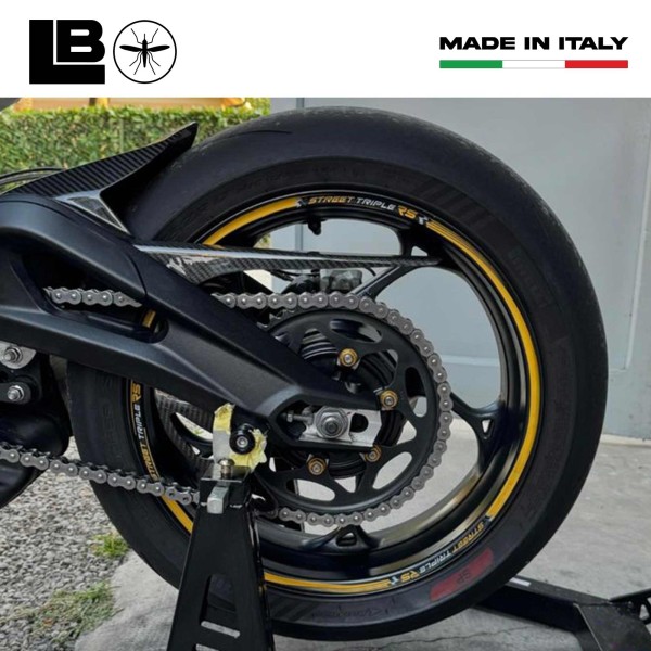 Strisce adesive cerchi ruote 17 compatibili con Triumph Street Triple 765 RS