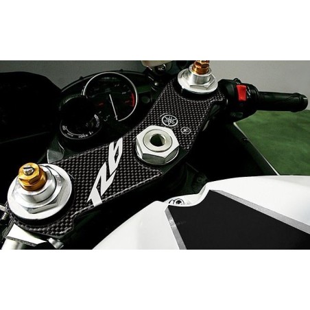 ADHESIVO 3D compatible para YAMAHA R6 2006-2016 PROTECCION PLACA HORQUILLA MOTO