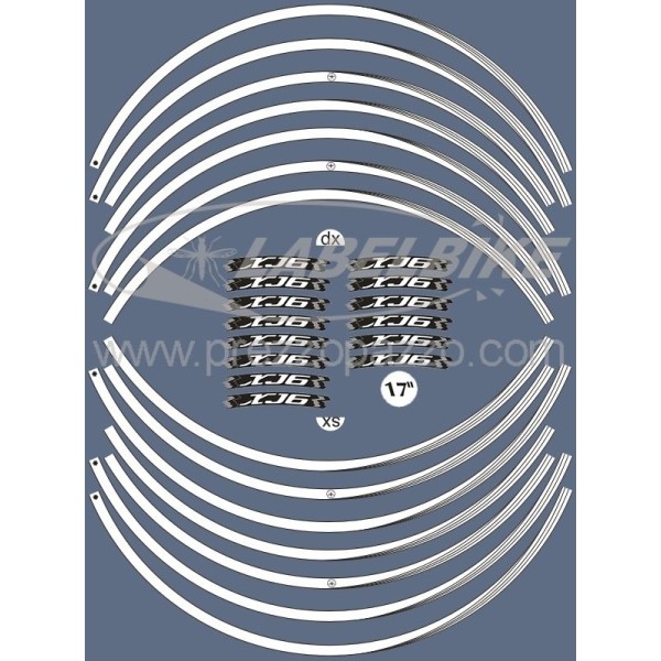 ADHESIVE STRIPS compatible for YAMAHA XJ6 MOTORCYCLE RIMS 17 tuning stickers White