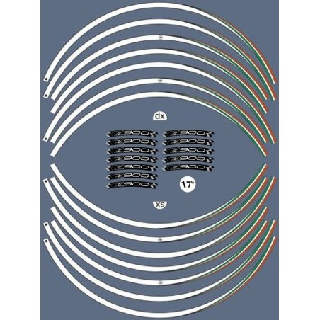 KIT ADHESIVE STRIPS kompatibel mit 17 RIMS MOTORCYCLE KAWASAKI Z900 Tuning Aufkleber
